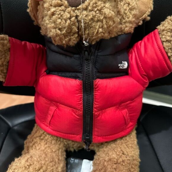 NWT The North Face Teddy Bear 30th Anniversary Red Nupste Jacket Very Rare - Picture 2 of 10